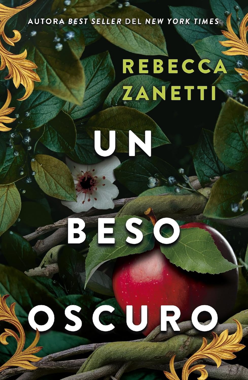 Un beso oscuro (Spanish Edition)