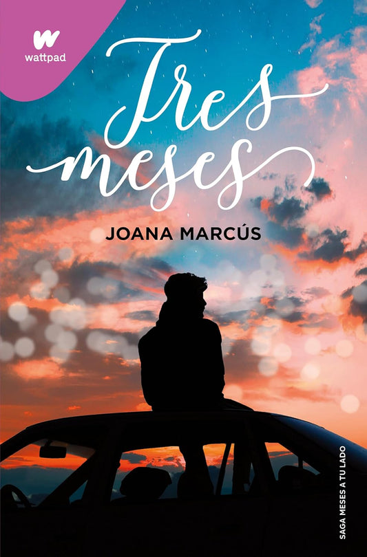 Tres meses (Meses a tu lado 3) (Spanish Edition)