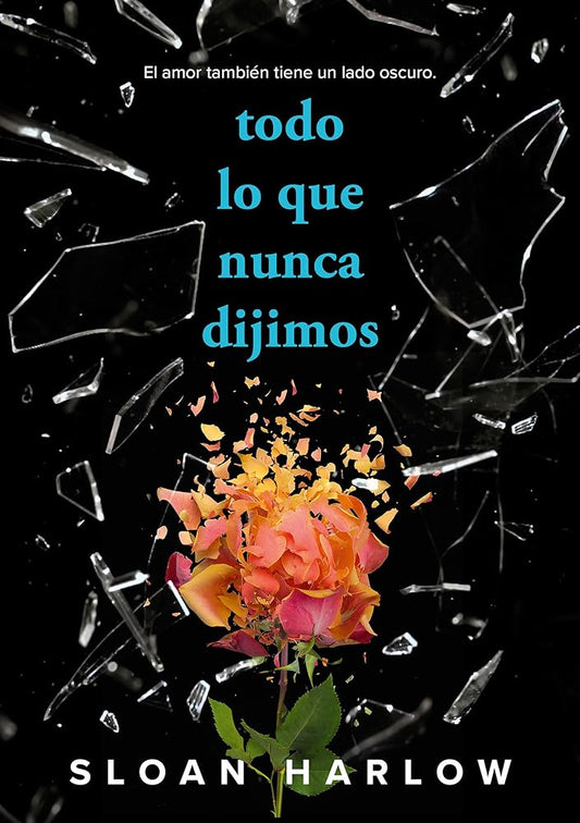 Todo lo que nunca dijimos (Sin límites) cover image